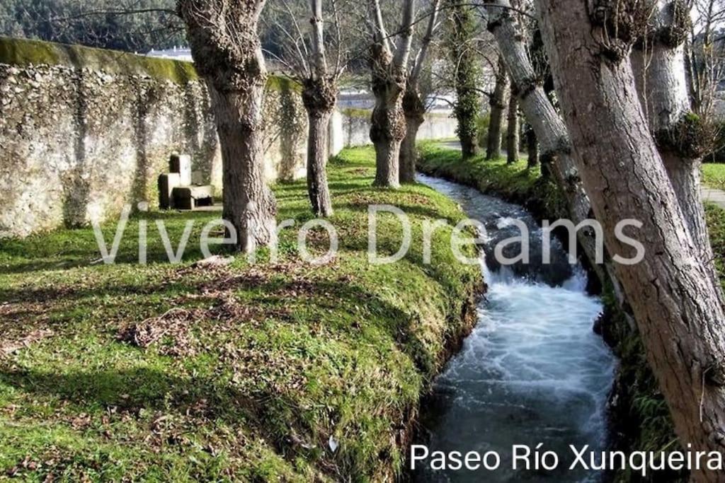 Viveiro Dreams Villa Exterior photo